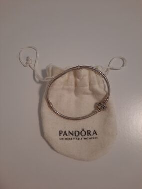 Pandora Snakechain Bracelet